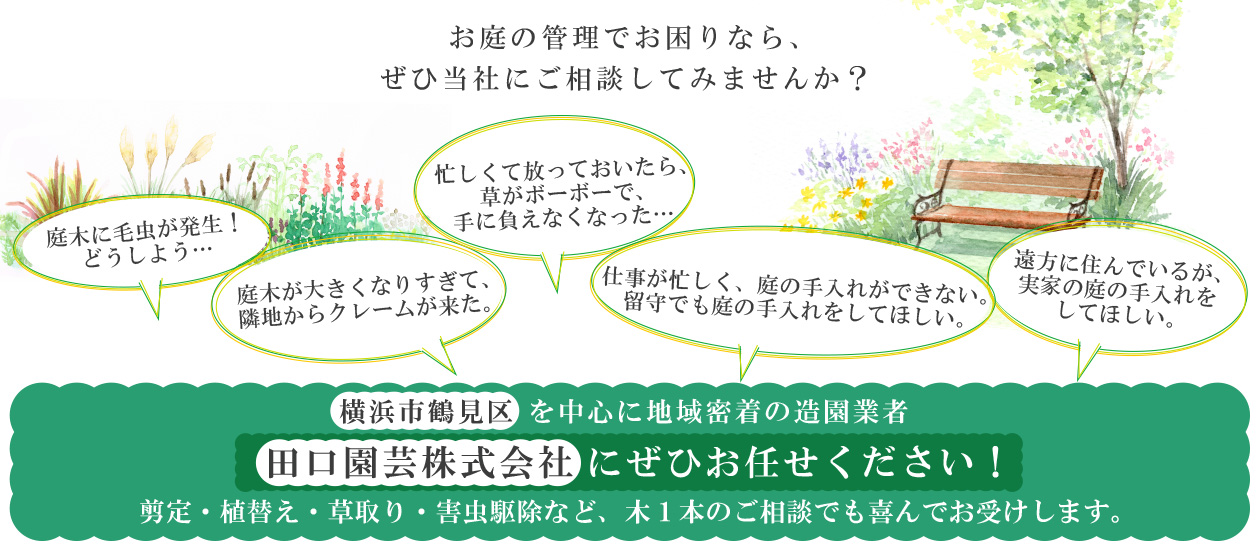 お庭のお手入れ 田口園芸株式会社 お庭のお手入れ 田口園芸株式会社